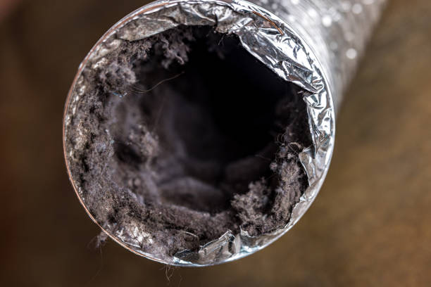 Best Best Air Duct Cleaning Company  in Buena Vista, CO
